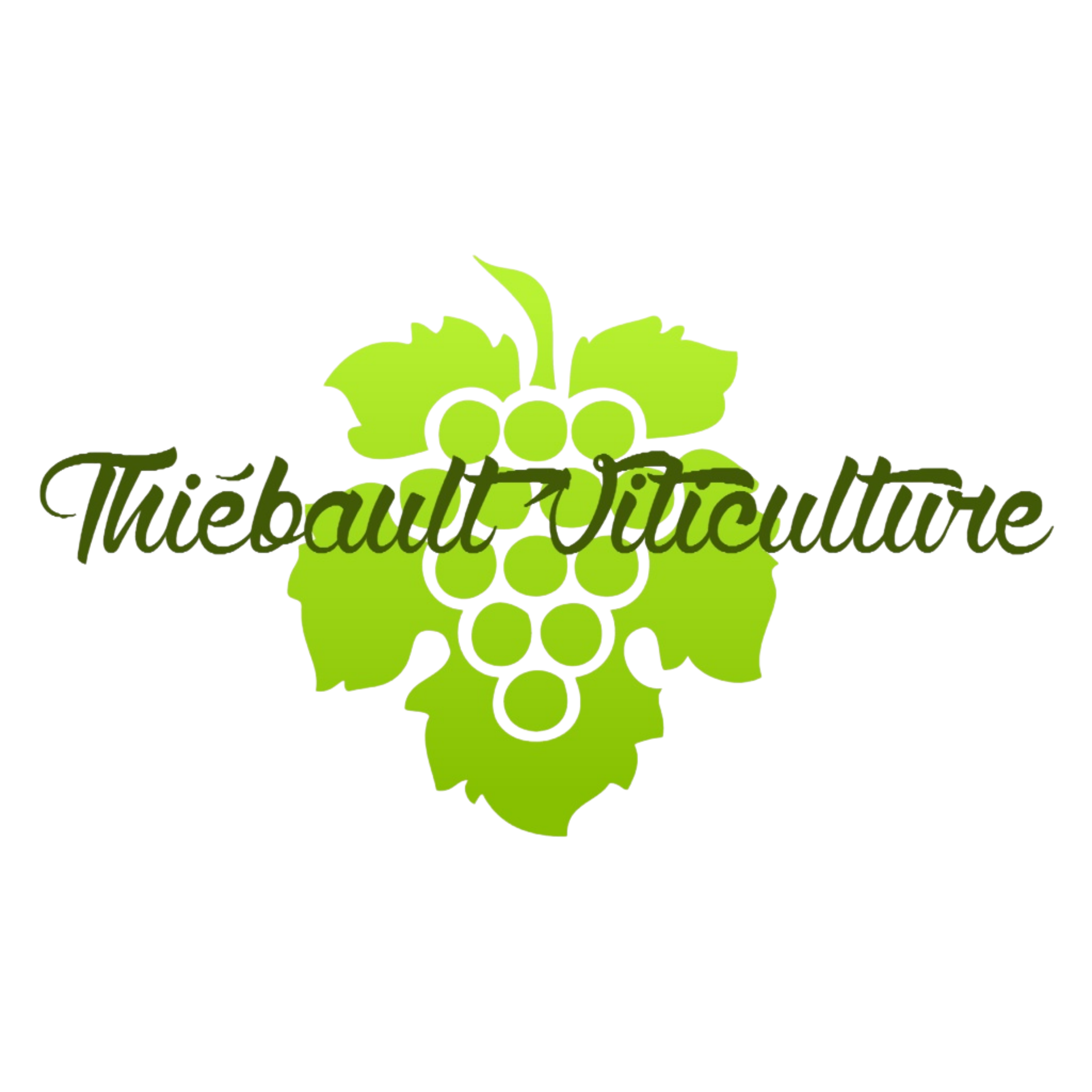 Thiébault Viticulture